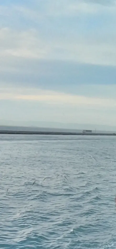 Boya dekorasyon